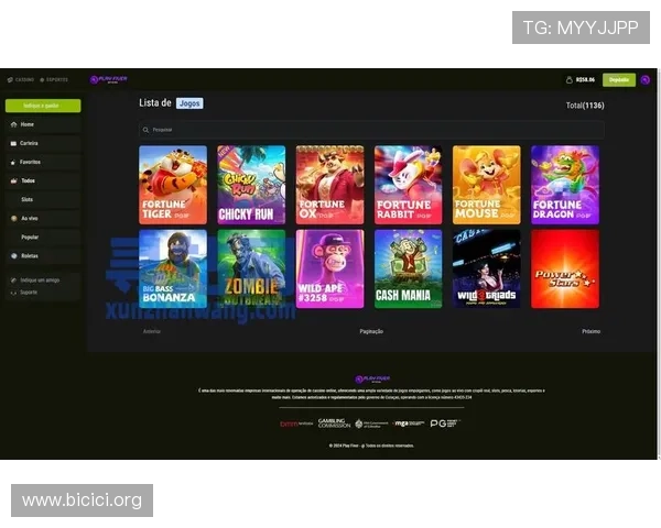 PG电子国际版合作全球知名游戏开发商，丰富游戏内容不断创新引领行业发展