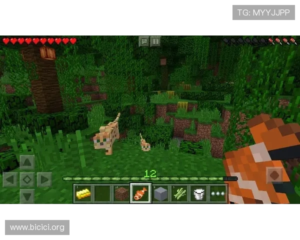 PG电子官方正版平台全面升级，提供丰富多样的游戏体验与优质客户服务